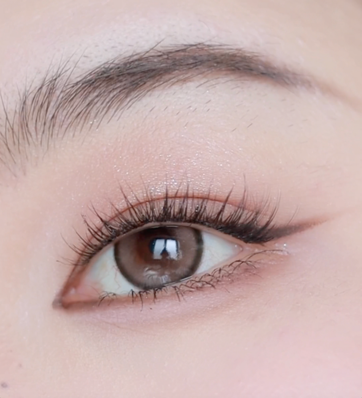 The Natural Edit | Free Lash Tools